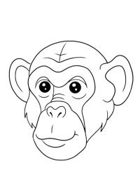 Rosto de chimpanzé