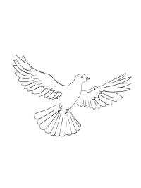 Pombo