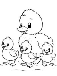 Pata com seu filhote