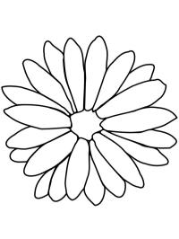 Calêndula