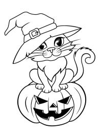 Gato de Halloween com chapéu de bruxa