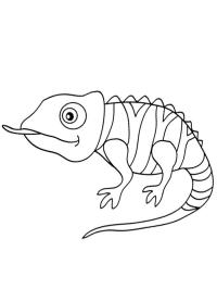 Camaleão com a língua para fora