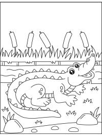 Crocodilo com a boca aberta