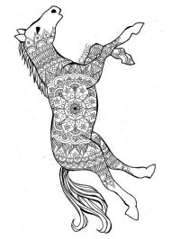 Mandala de cavalo