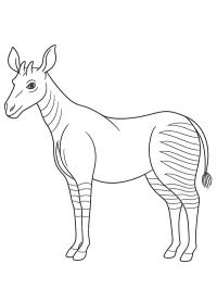 Ocapi