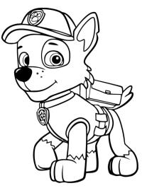 Rocky da Patrulha Canina