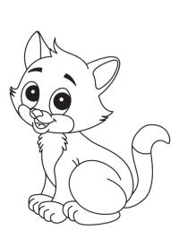 Gatinho fofo