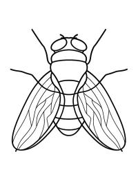 Mosca