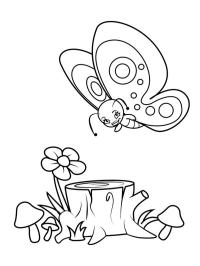 Borboleta na natureza