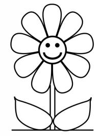 Girassol para crianças